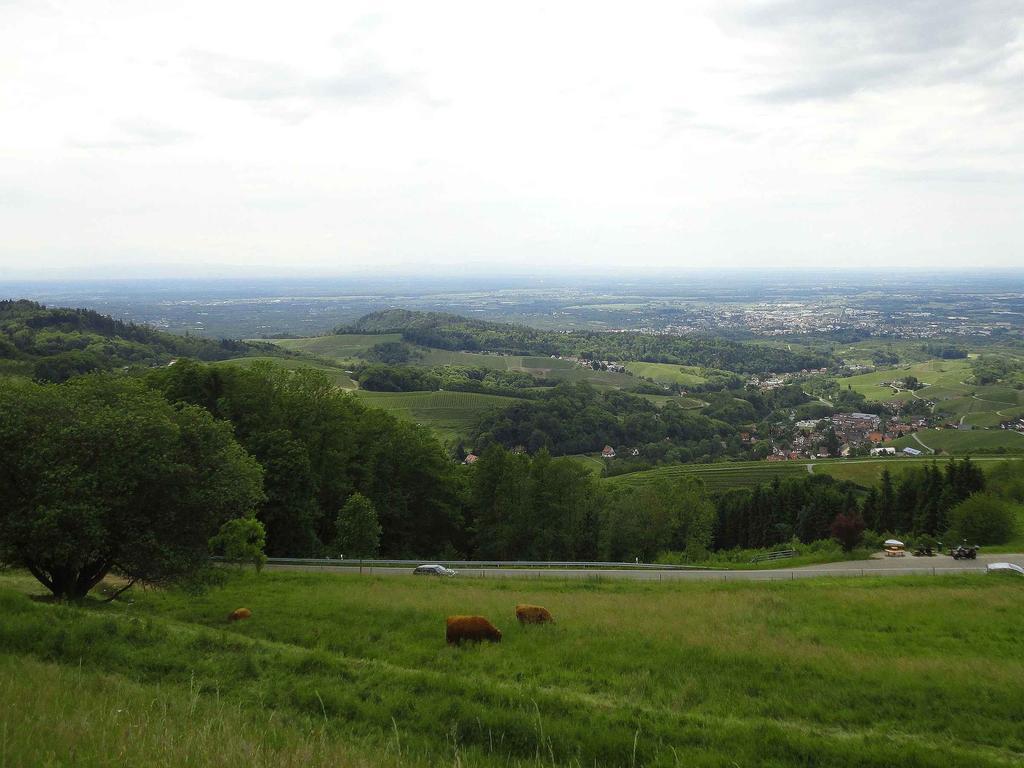 Ferienwohnung Burgblick Lauf Exteriér fotografie