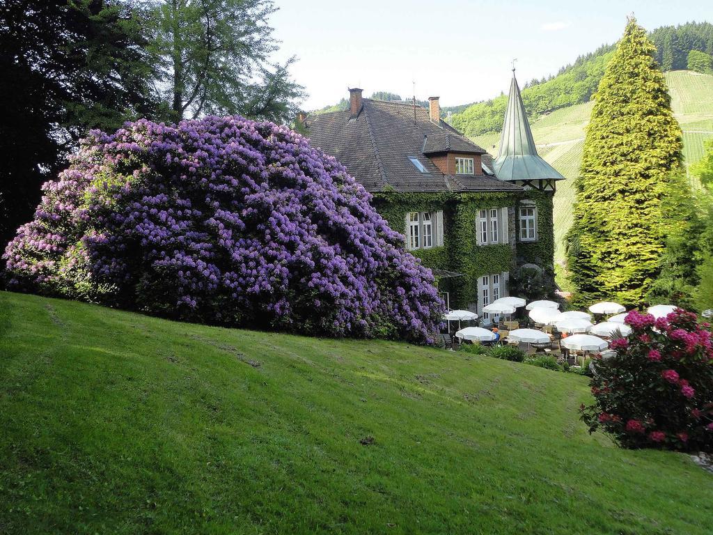 Ferienwohnung Burgblick Lauf Exteriér fotografie